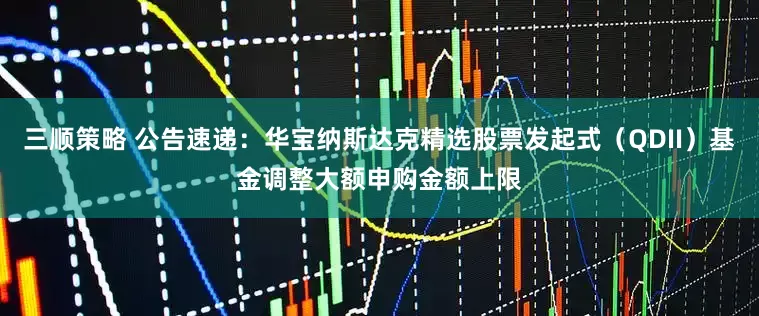 三顺策略 公告速递：华宝纳斯达克精选股票发起式（QDII）基金调整大额申购金额上限